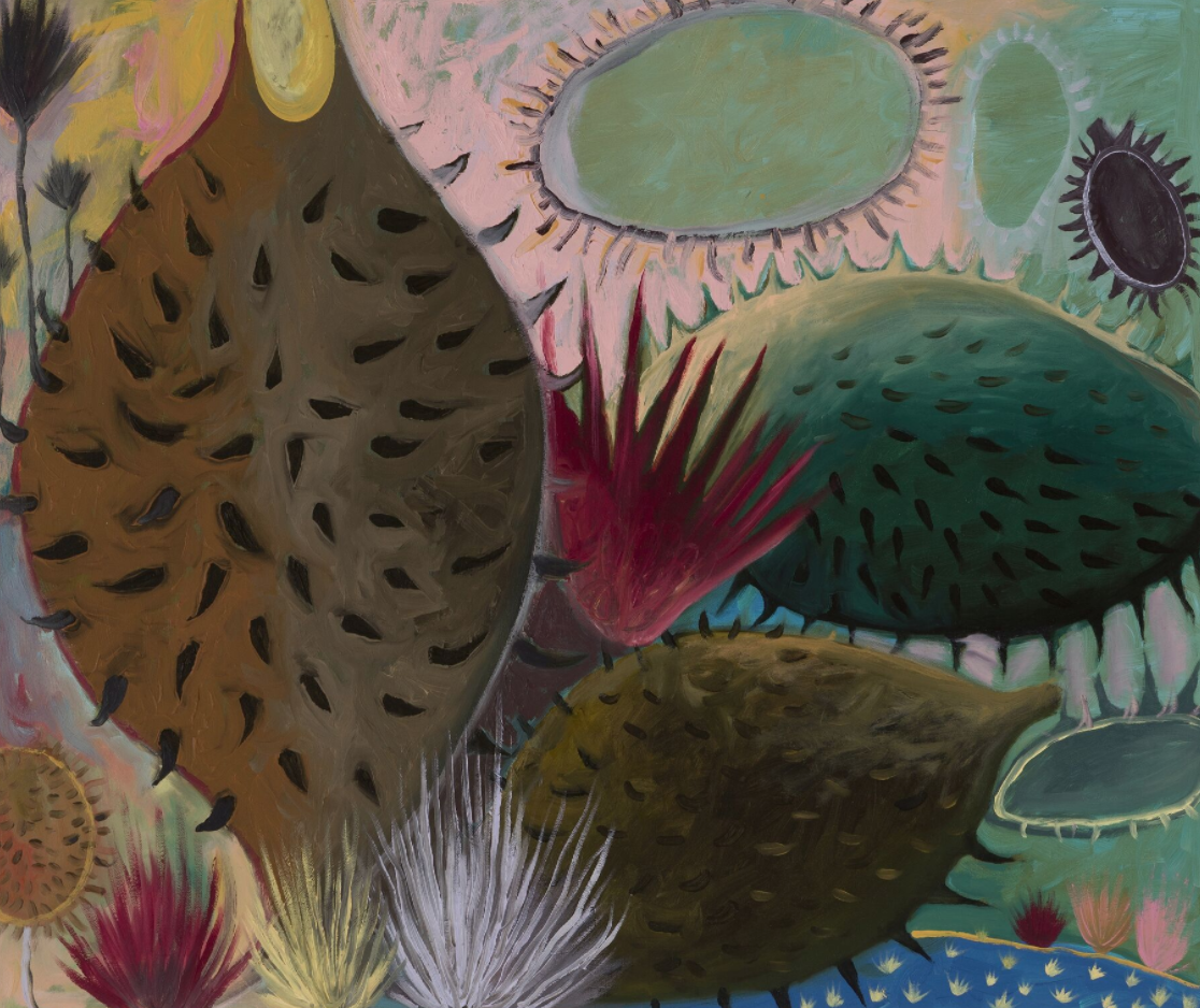 Judith Wright Centre | Colours of Queensland