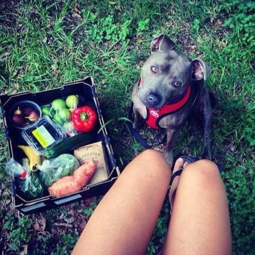 It’s a Dog’s Life | The Best Pooch-Friendly Places on the Eastside & Where to Find Them