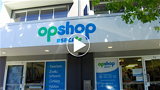 [VIDEO] RSPCA Op Shop | How to Find the Best Pieces When Op Shopping 