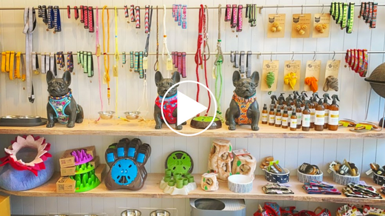 [VIDEO] Fortitude Valley Vet | Providing Love & Care for all Animals