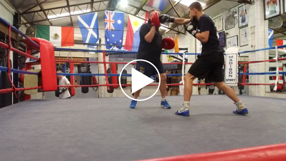 [VIDEO] Newstead | Eat, Sleep, Box, Repeat! 