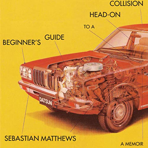 Beginner's Guide to a Head-On Collision.jpg