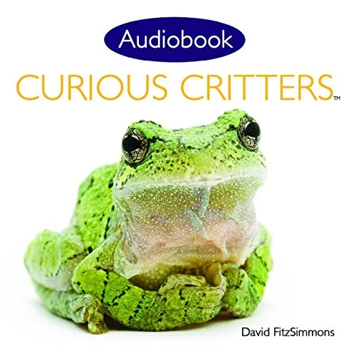 Curious Critters Volume One.jpg
