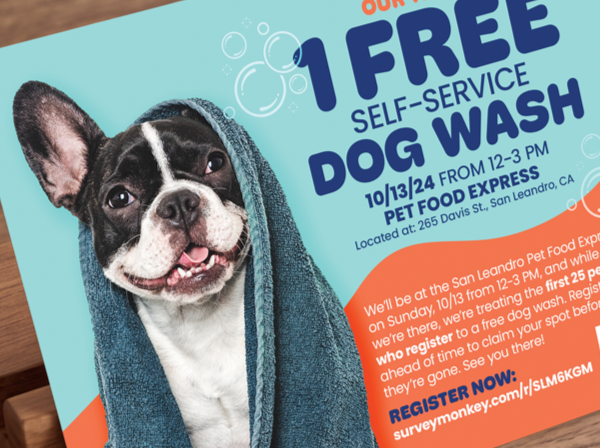 dog-wash-maribel.png