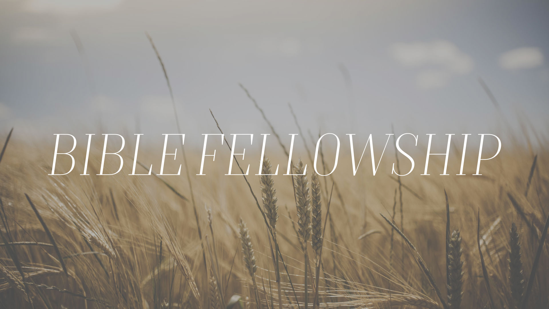 Bible-Fellowship.jpg