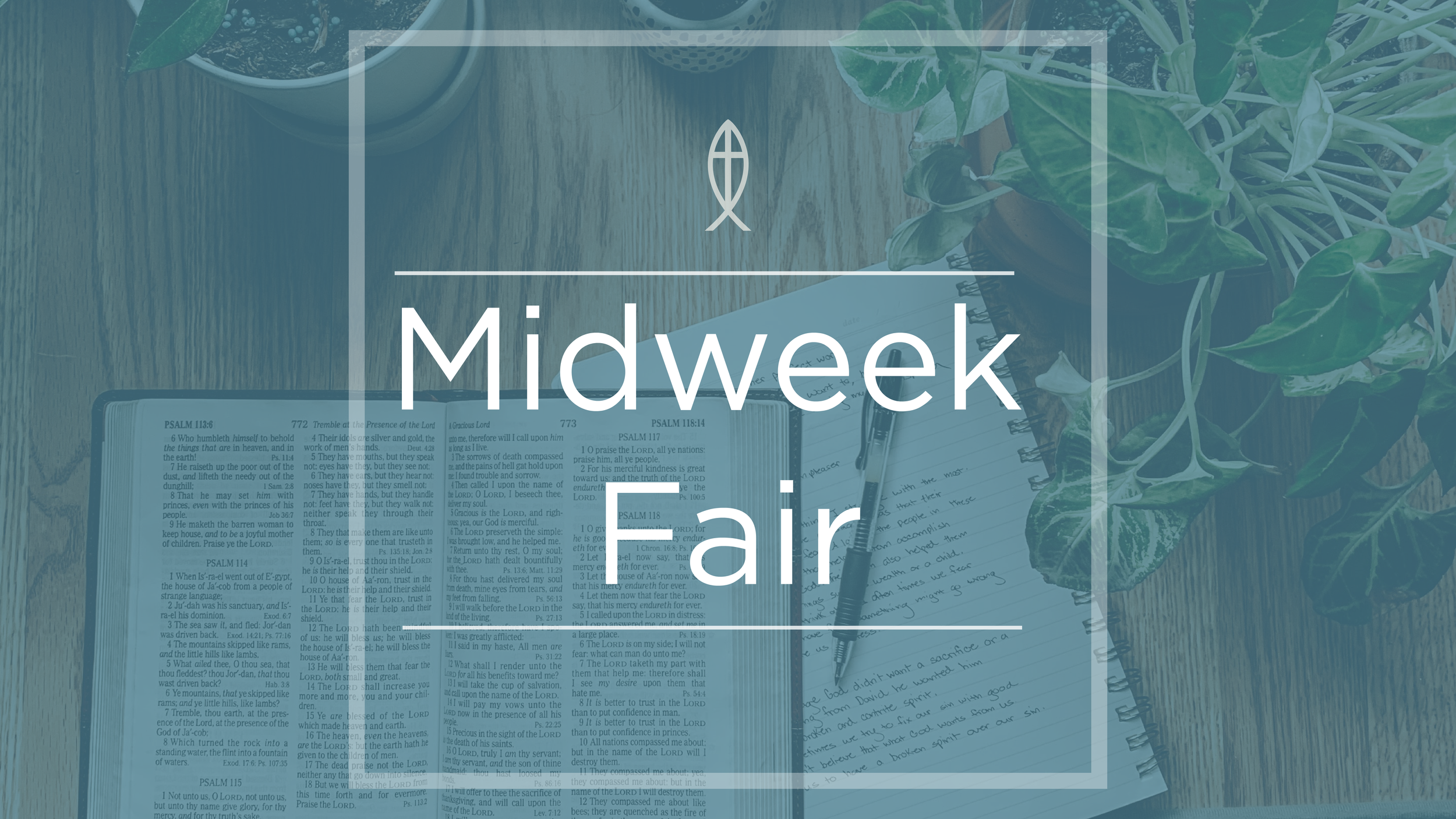 Midweek Fair