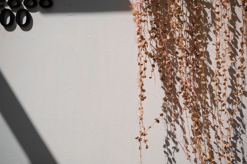 squarespace web design using introspection.jpg