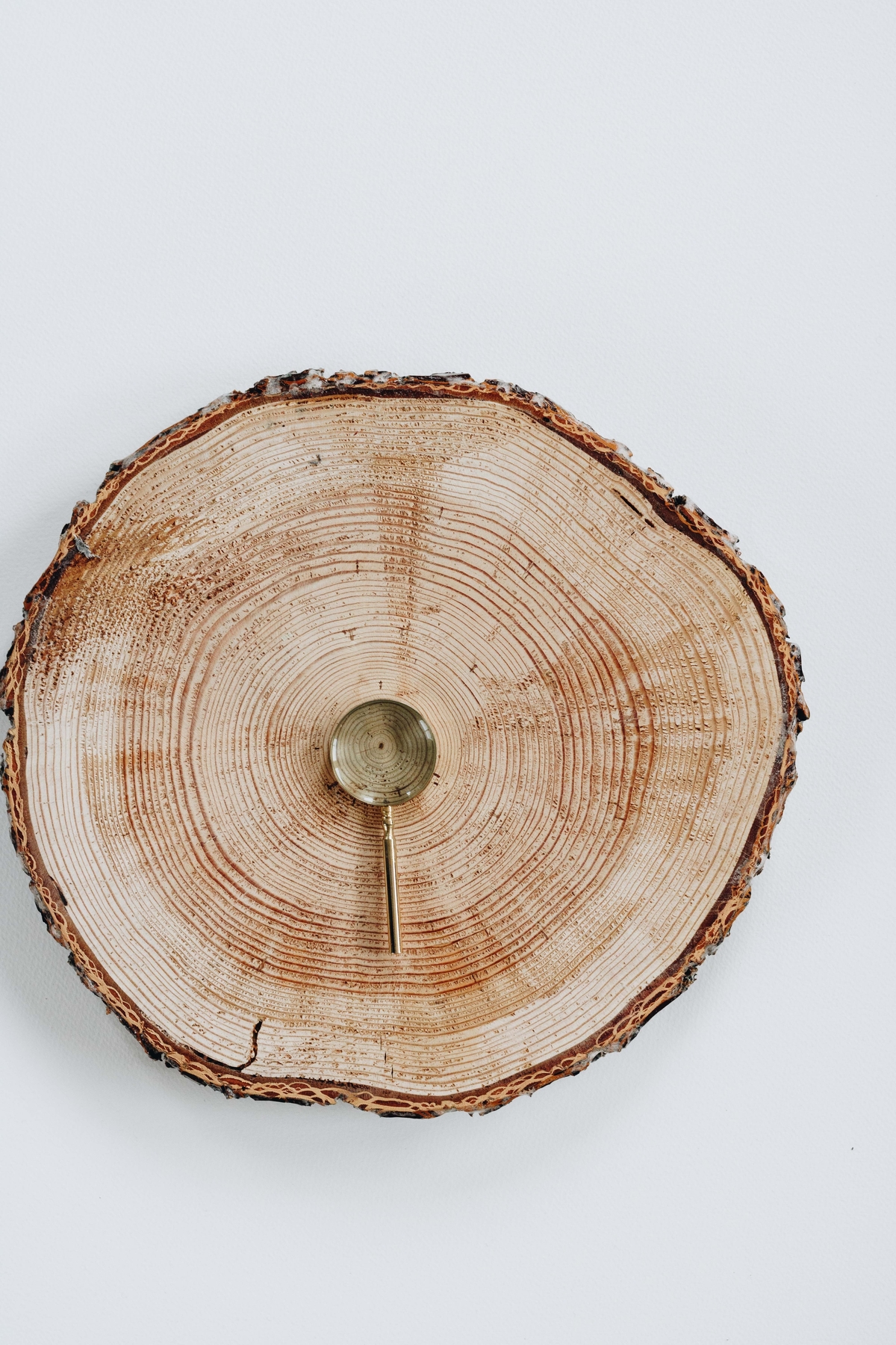 squarespace web design for wellness entrepreneurs .jpg