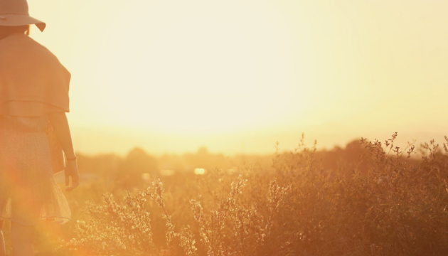 wellness websites bundle mindful web design by squarespace expert.png