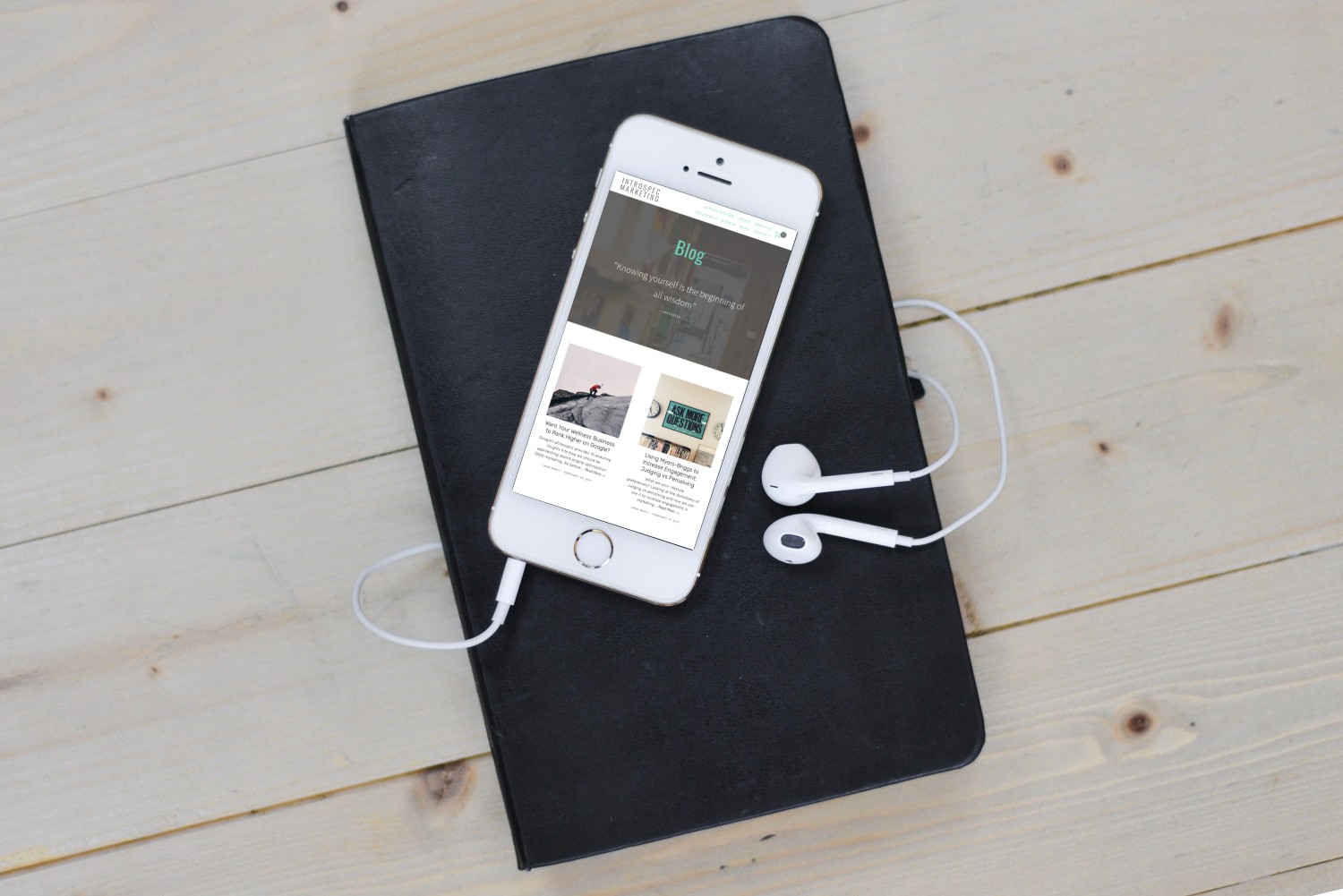 Squarespace web designer showing wellness websites examples of work