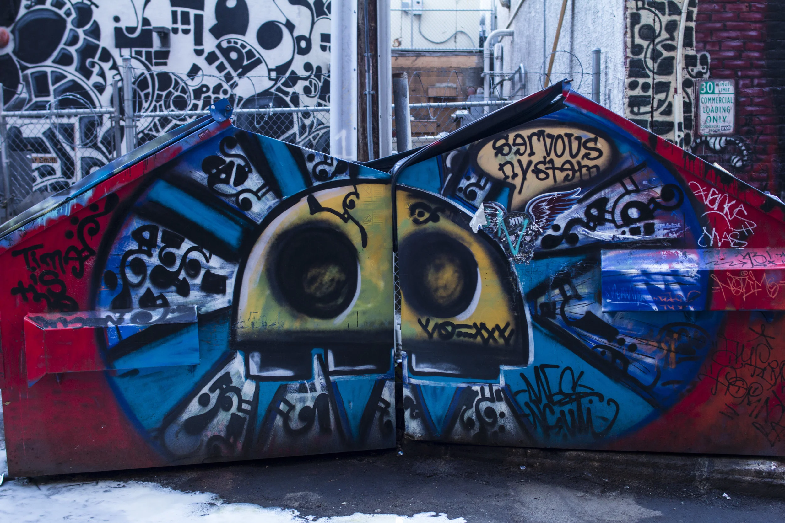 Dumpster painting by Carlos Rivas. Photo by Brandon Salaz. 