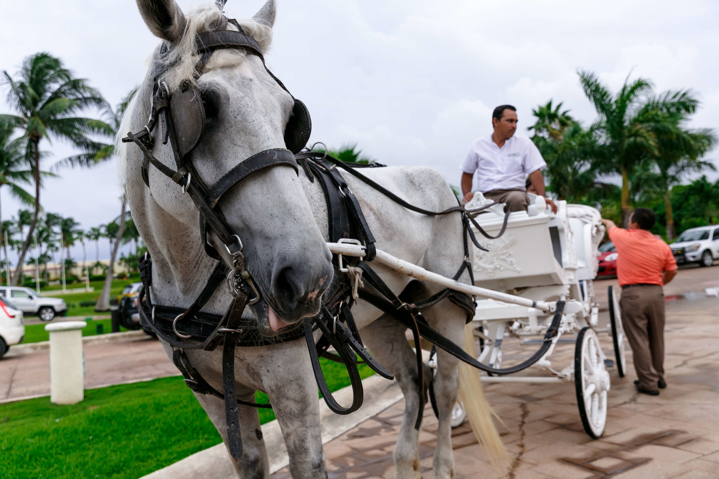 tressa-how-to-plan-a-destination-wedding-in-cancun-mexico-moon-palace-resort-black-destination-bride-destiland-desti-guide-to-destination-weddings-beach-wedding-carriage.jpg