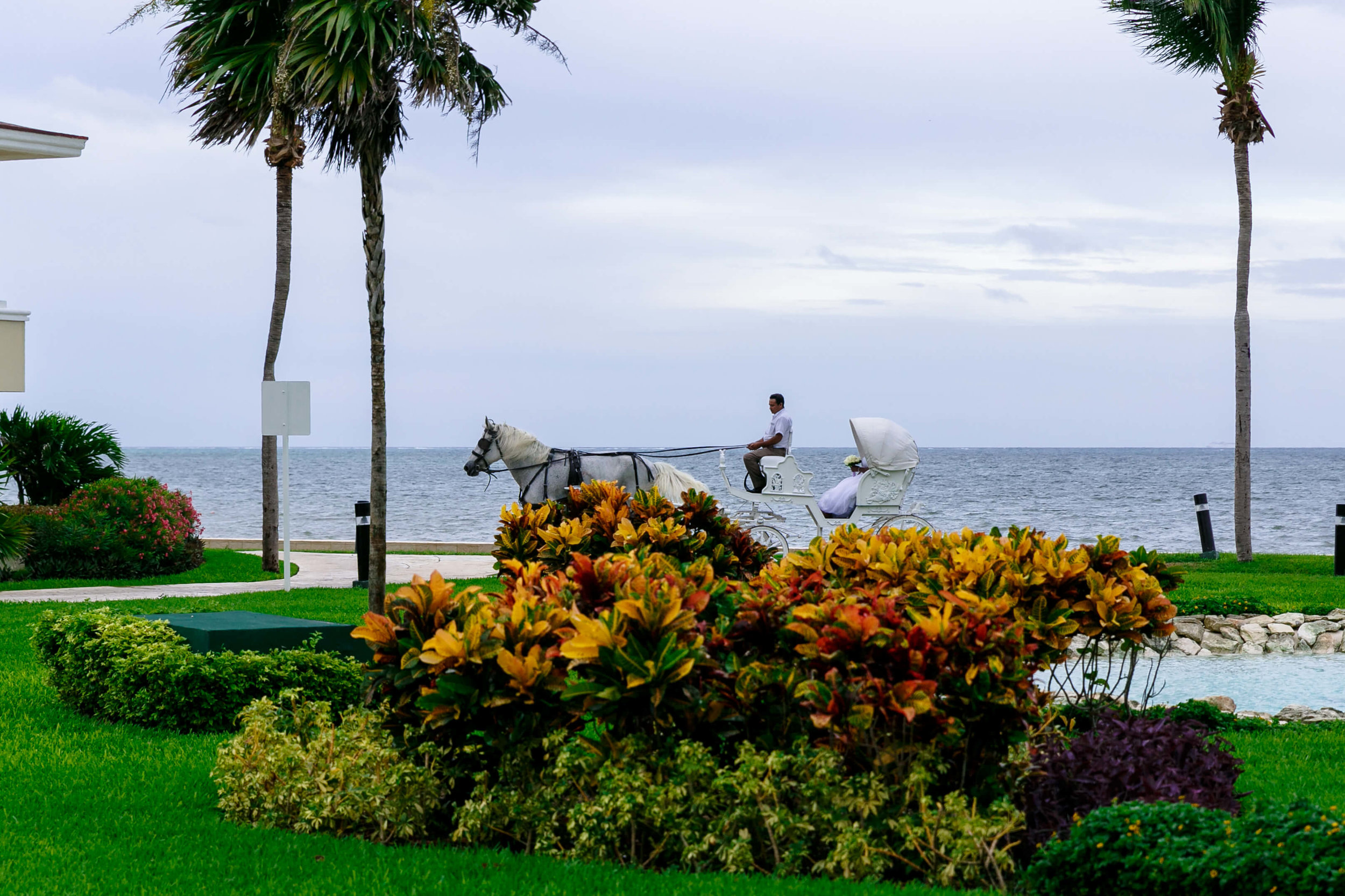 tressa-how-to-plan-a-destination-wedding-in-cancun-mexico-moon-palace-resort-black-destination-bride-destiland-desti-guide-to-destination-weddings-beach-wedding-horse-carriage-1.jpg