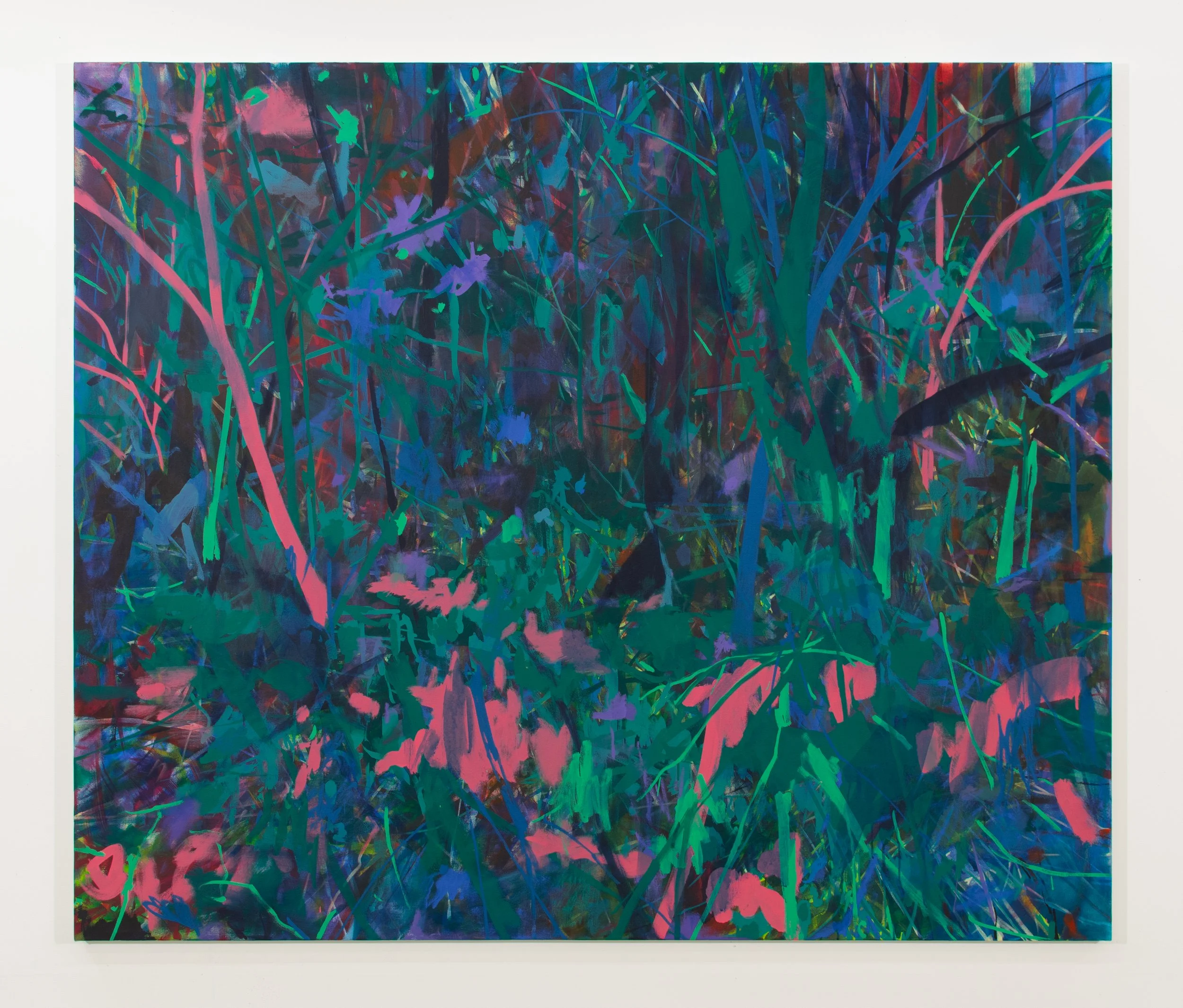  Crescive  
2025 
dispersion pigment and acrylic on canvas 
60 × 71 inches 
$10,500 