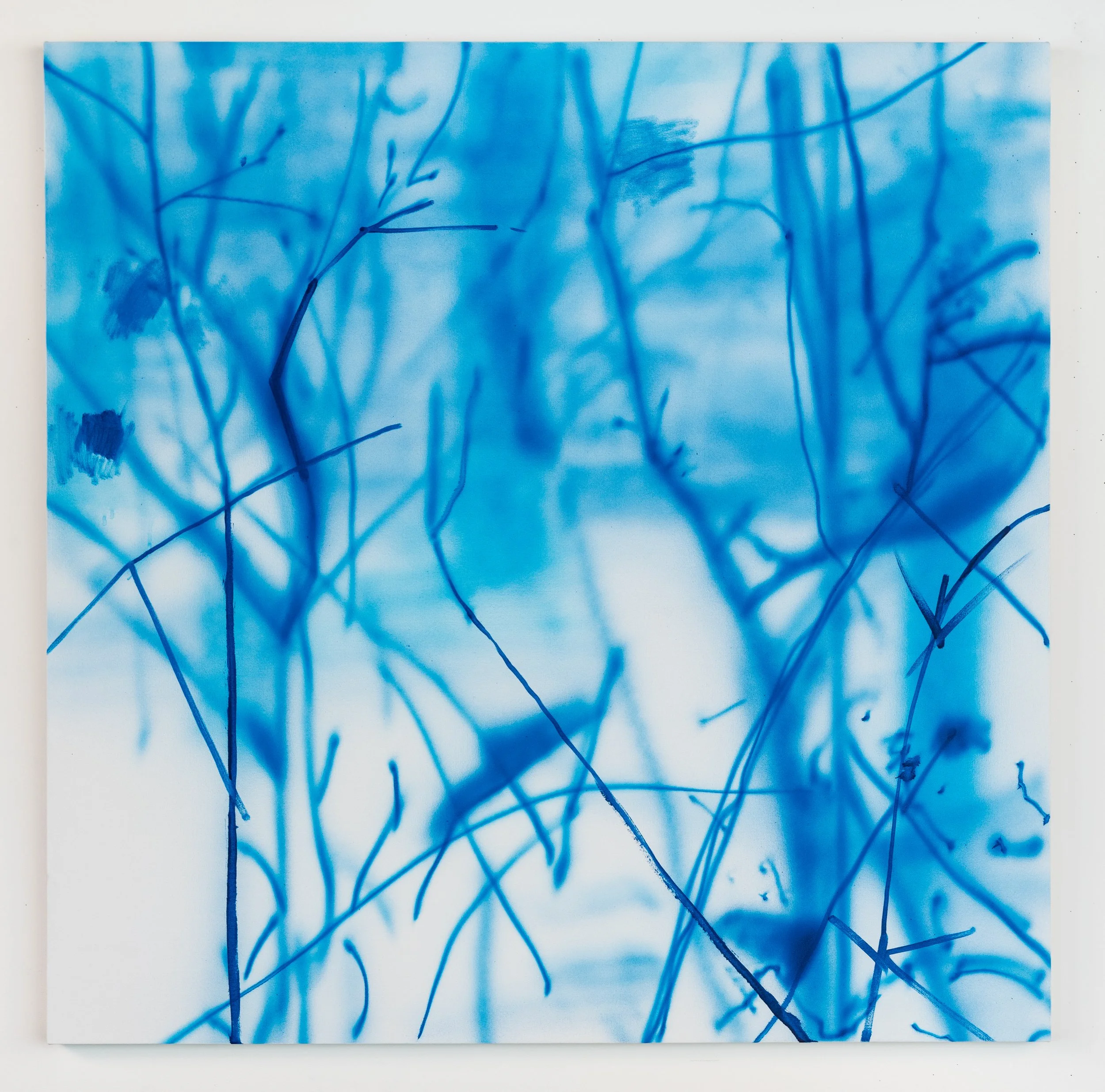  Sleep Spindles  
2024 
dispersion pigment and acrylic on canvas 
47.5 × 47.5 inches 
$5,550 