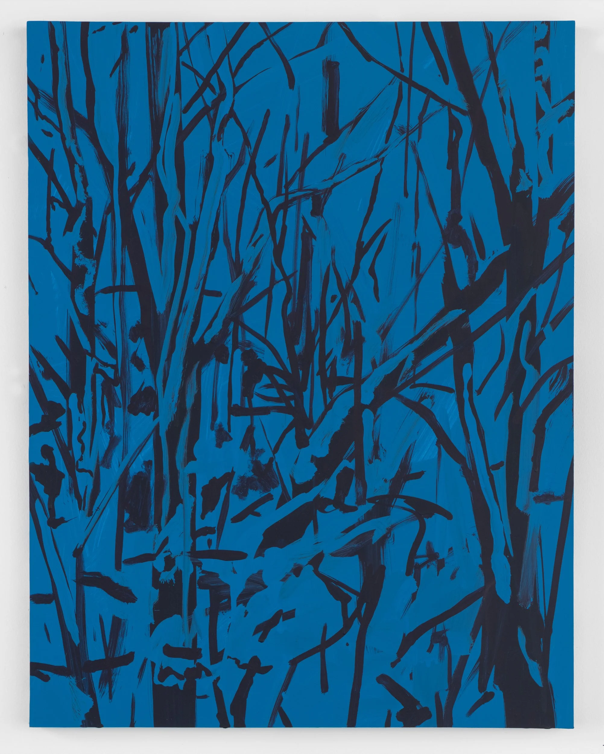  Blind  
2024 
dispersion pigment and acrylic on panel 
22 x 17 inches 