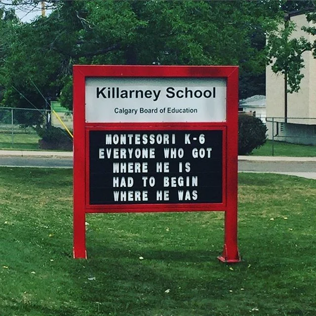 Killarney School is one of 2 schools in our neighbourhood.