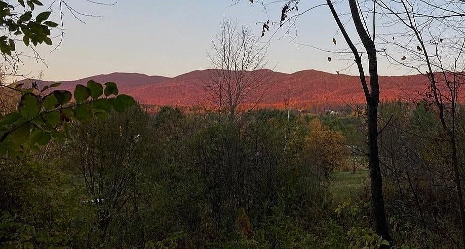 Vermont Natural Family Medicine PLC — Naturopathic Medicine clinic in Winooski, VT — photo 7