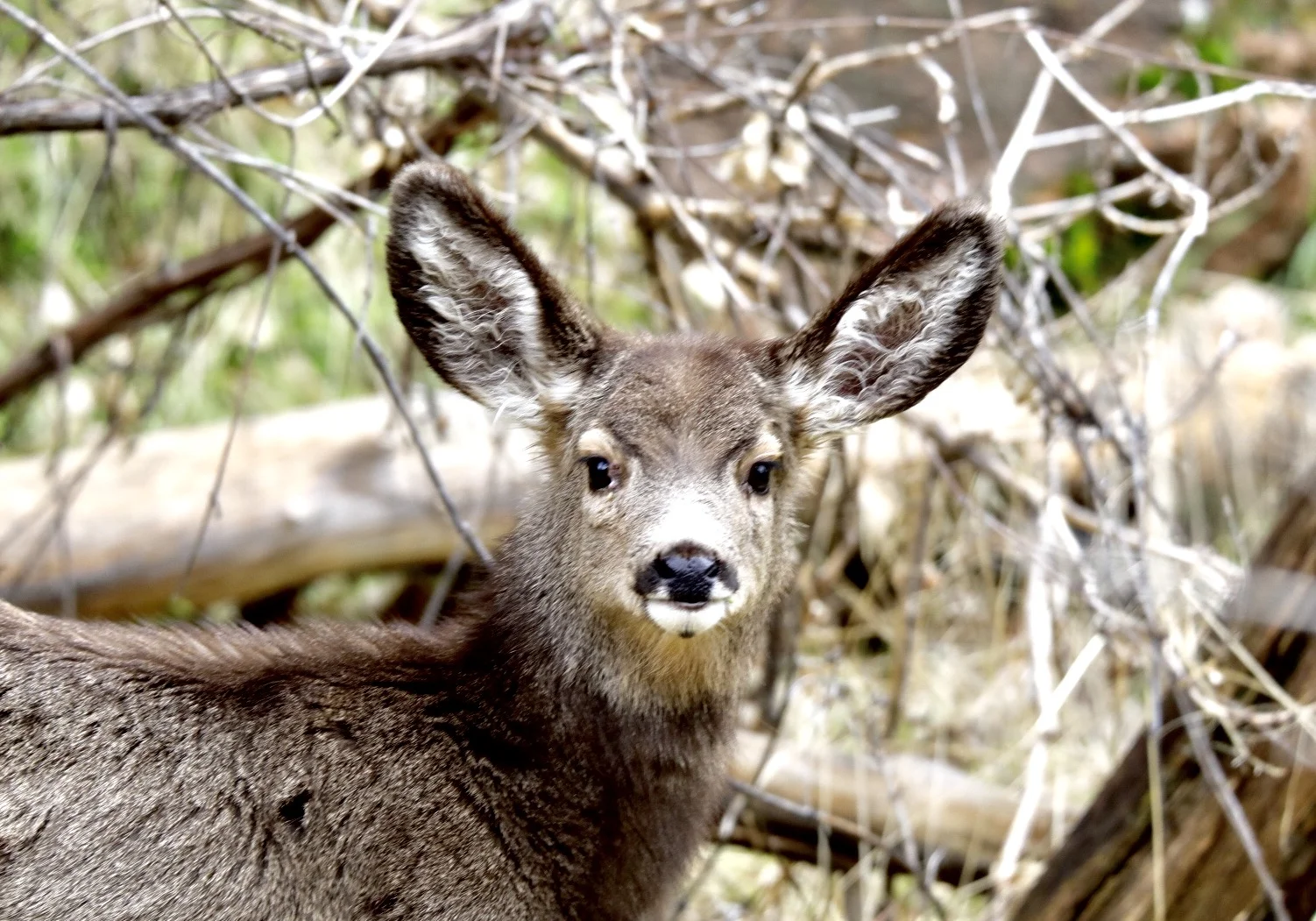 FullSizeRender 6.jpg