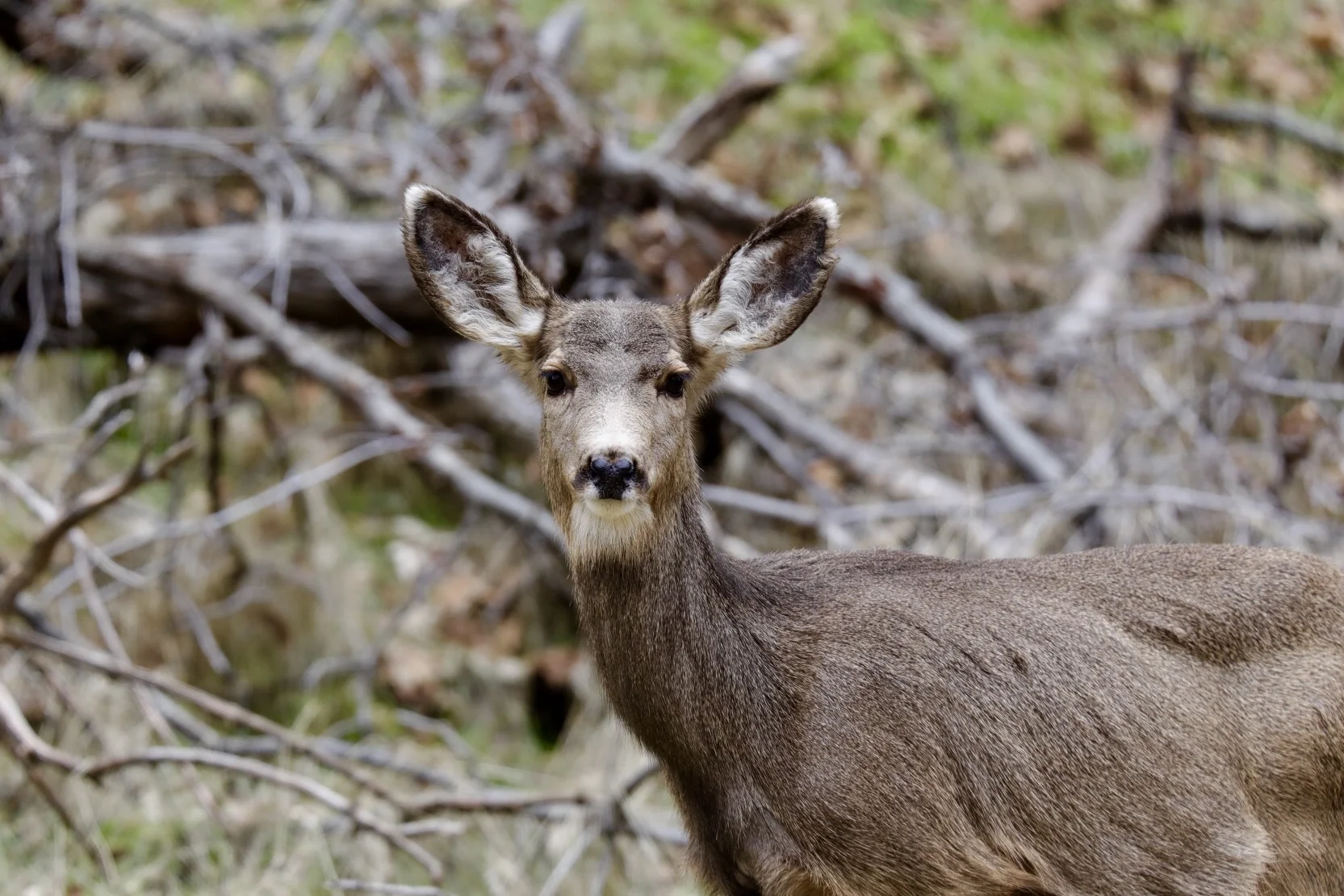 FullSizeRender 2.jpg