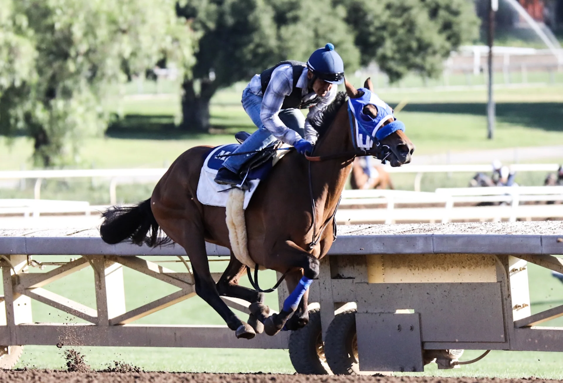 Santa Anita Park, Practice, April 30, 2017 