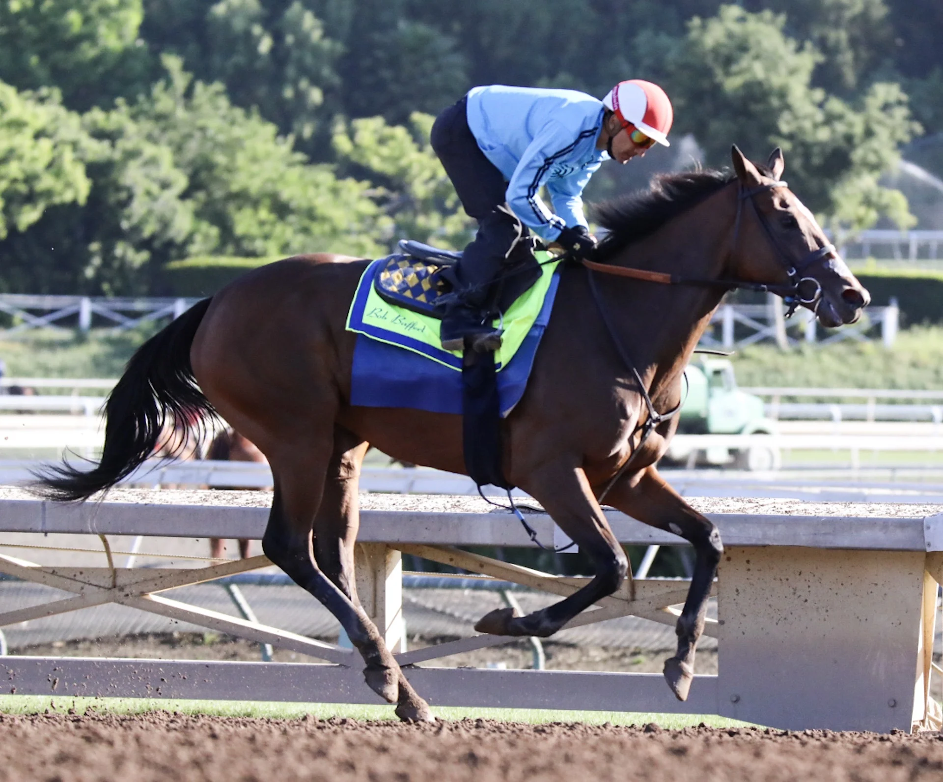  Santa Anita Park, Practice, April 30, 2017 