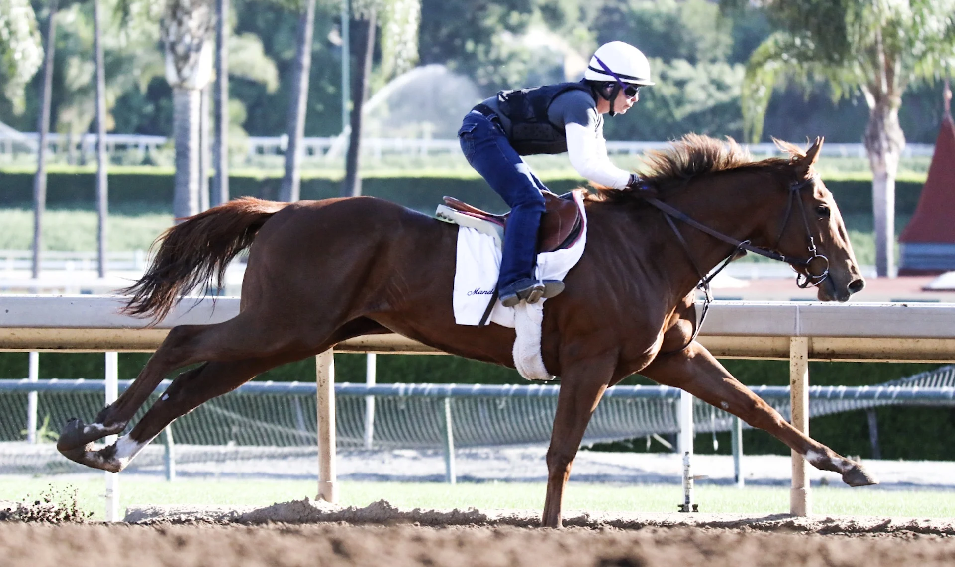  Santa Anita Park, Practice, April 30, 2017 