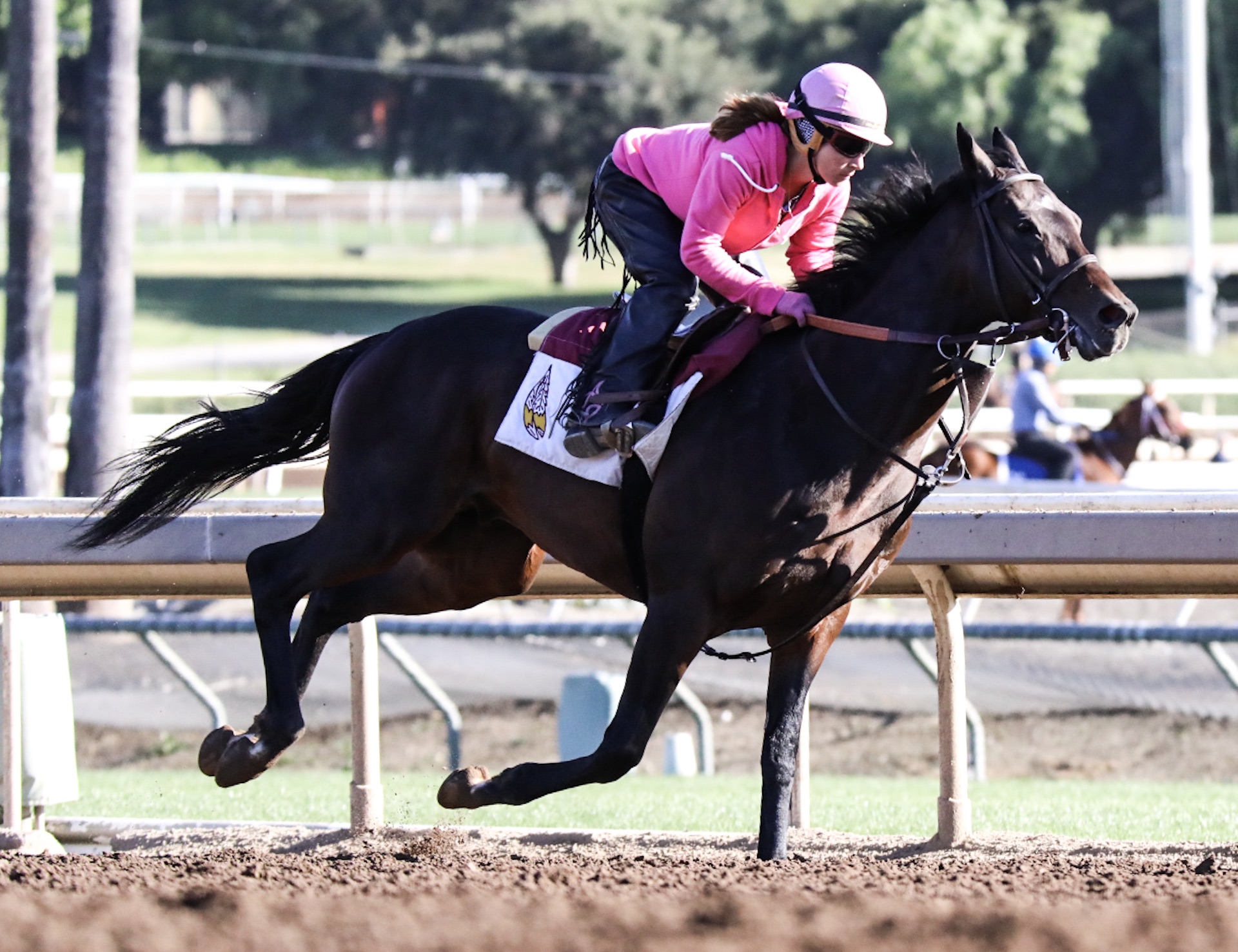  Santa Anita Park, Practice, April 30, 2017 