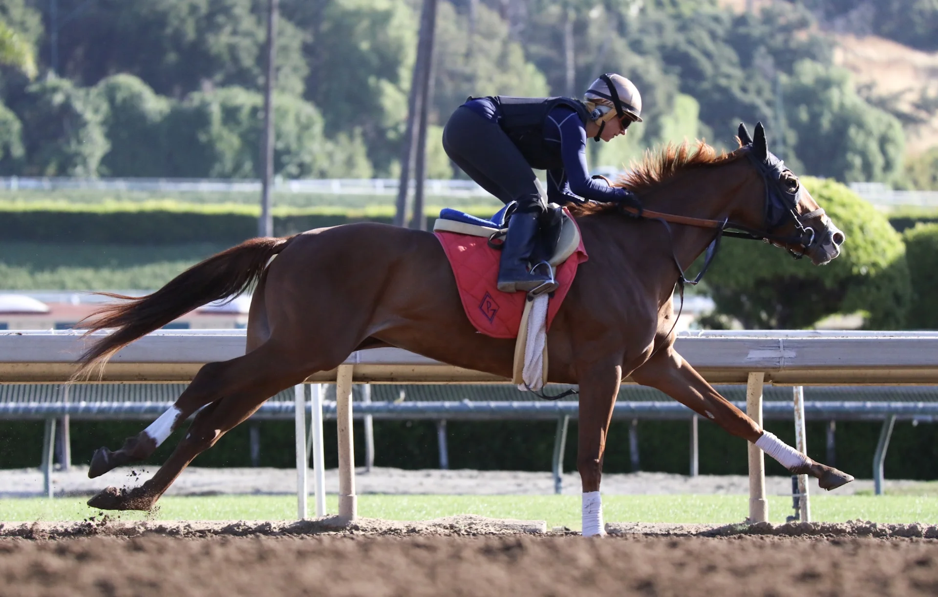  Santa Anita Park, Practice, April 30, 2017 