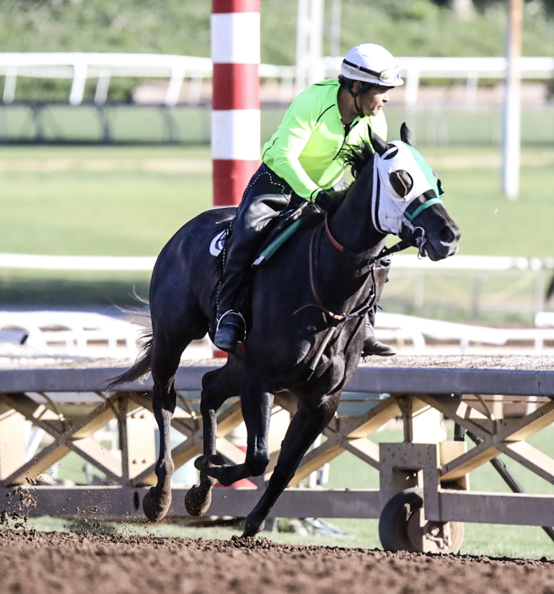 Santa Anita Park, Practice, April 30, 2017 