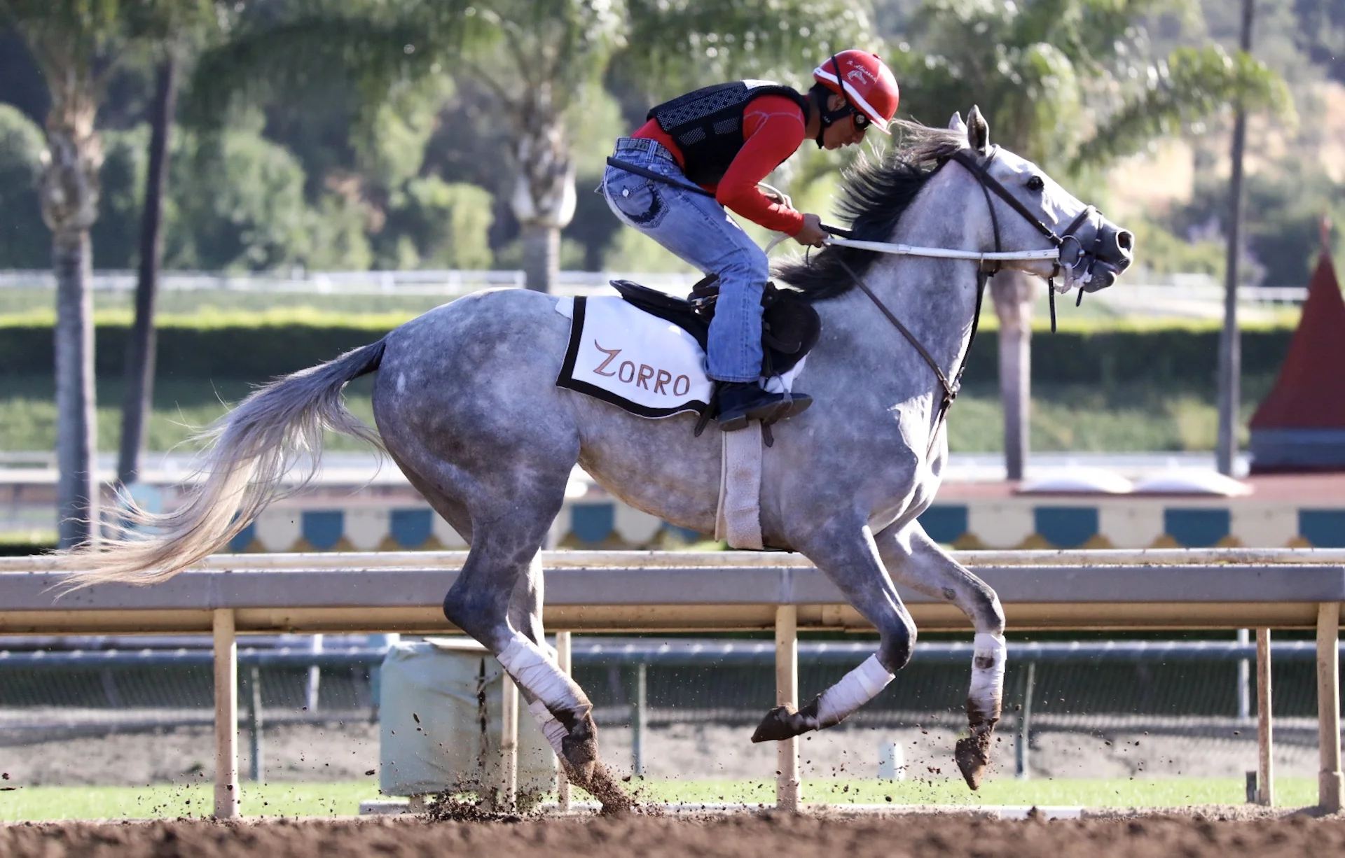  Santa Anita Park, Practice, April 30, 2017 