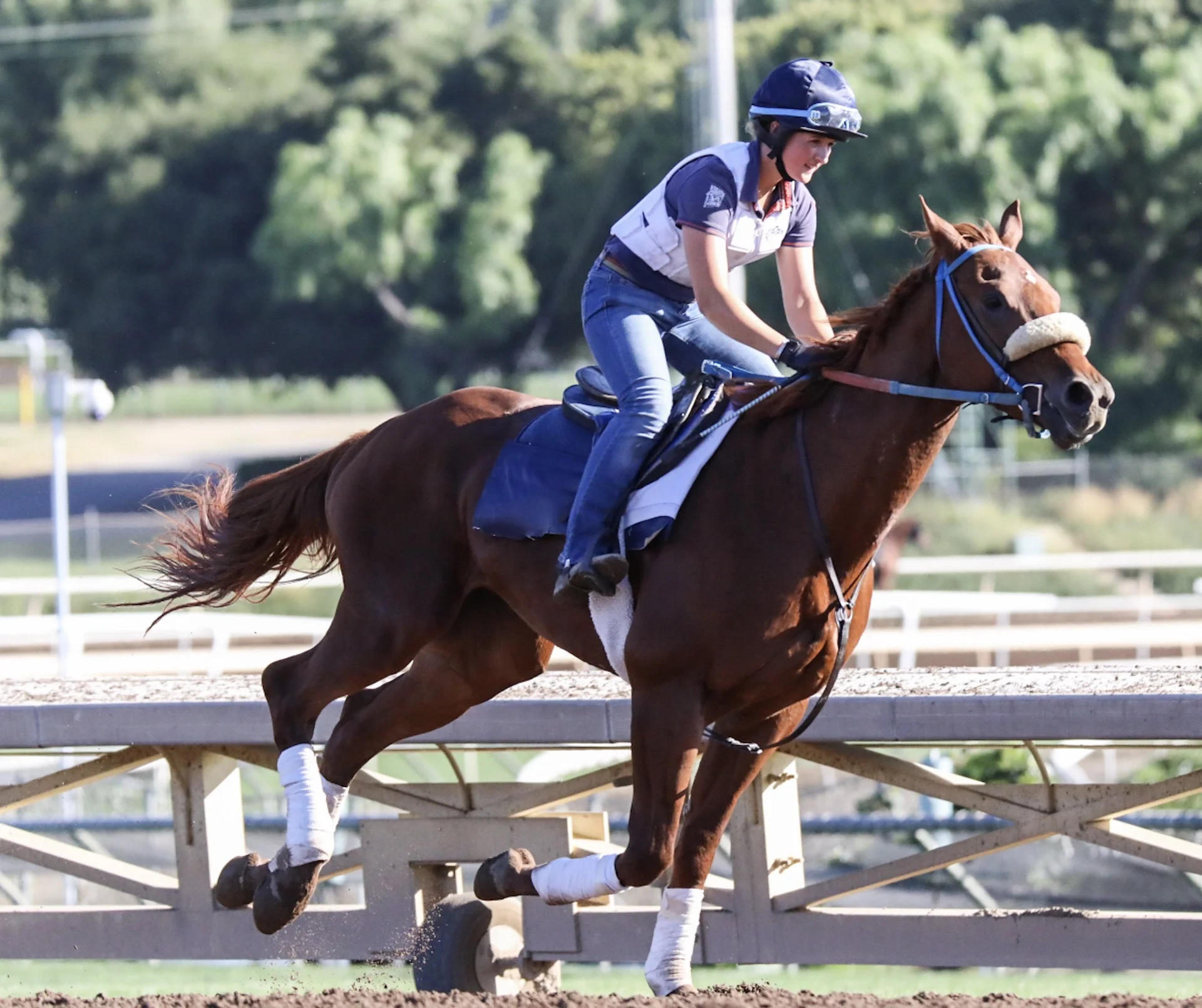  Santa Anita Park, Practice, April 30, 2017 