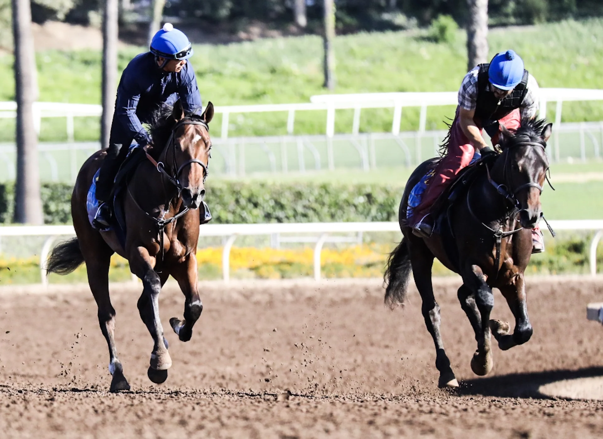  Santa Anita Park, Practice, April 30, 2017 