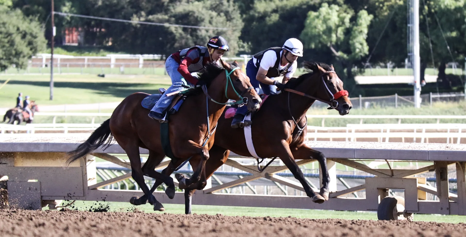  Santa Anita Park, Practice, April 30, 2017 