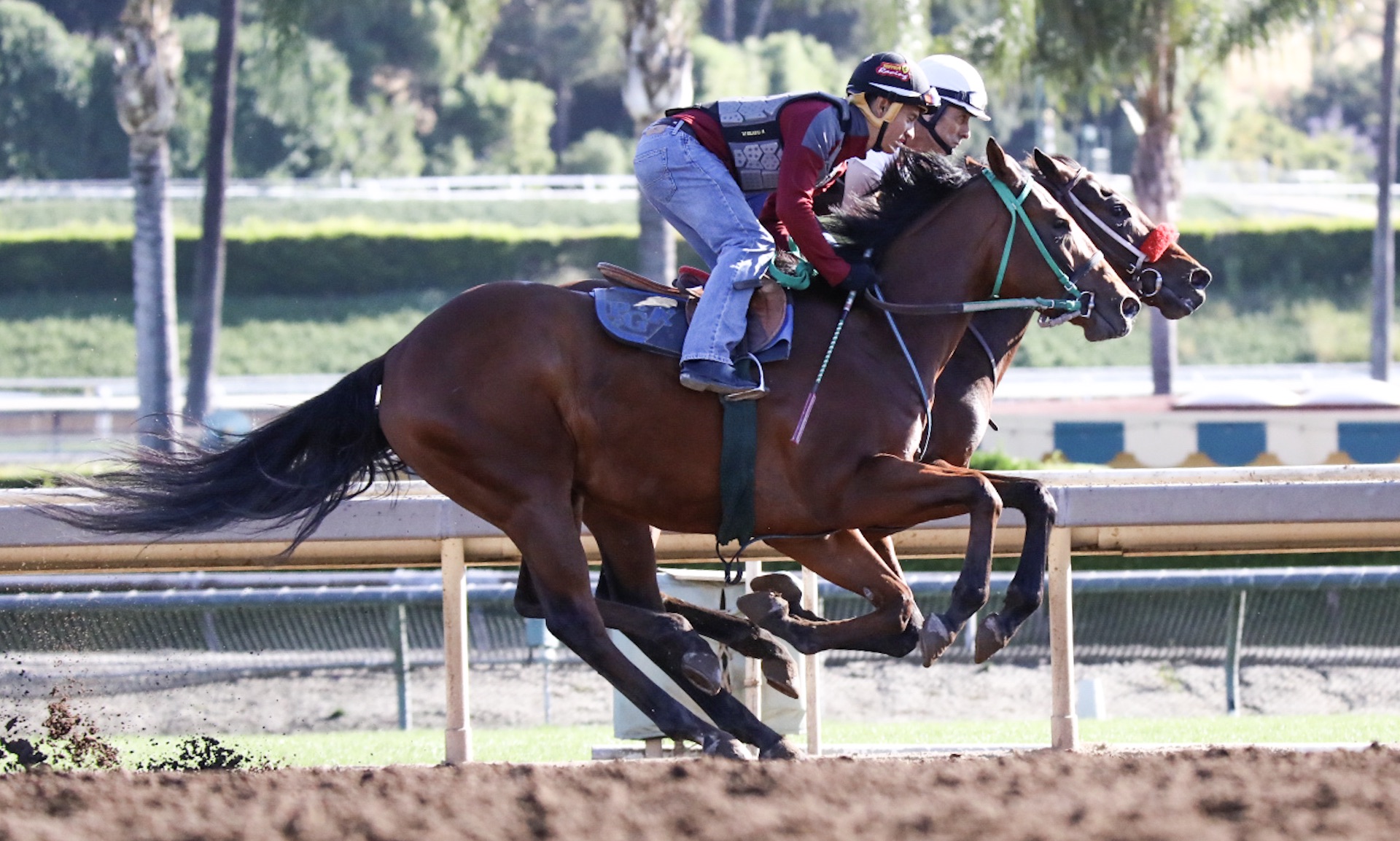  Santa Anita Park, Practice, April 30, 2017 