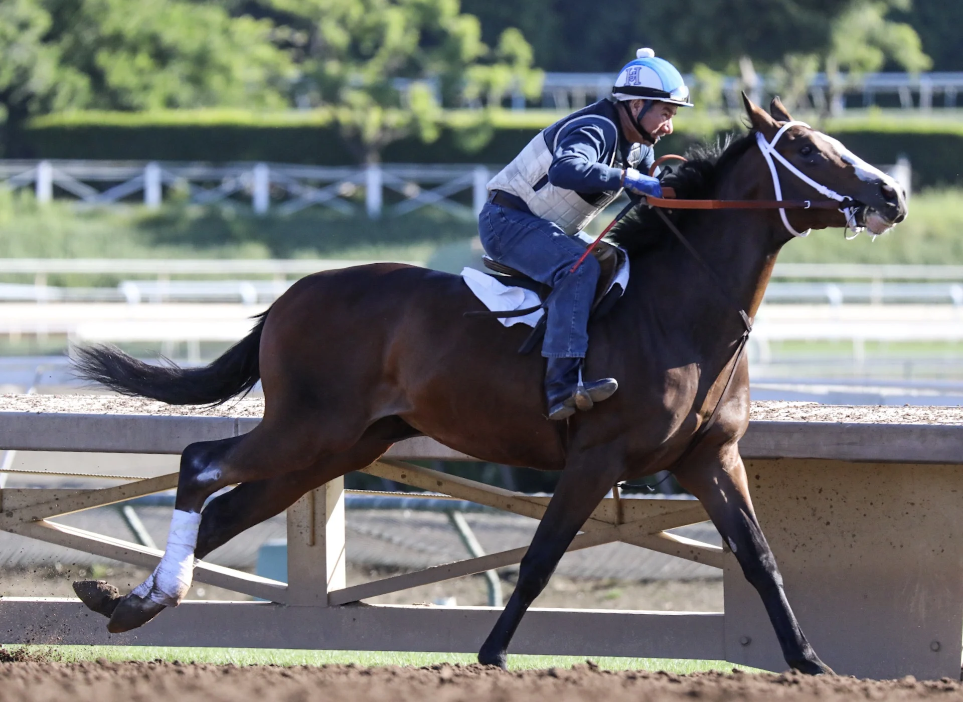  Santa Anita Park, Practice, April 30, 2017 