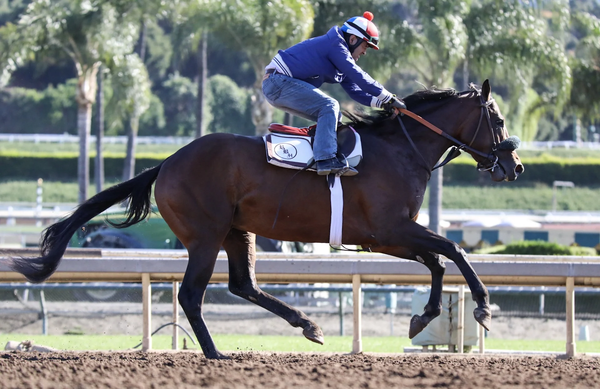  Santa Anita Park, Practice, April 30, 2017 