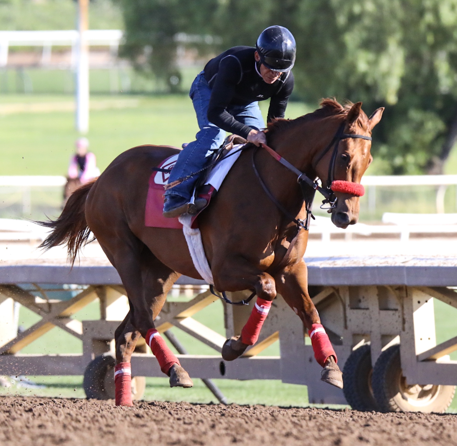  Santa Anita Park, Practice, April 30, 2017 