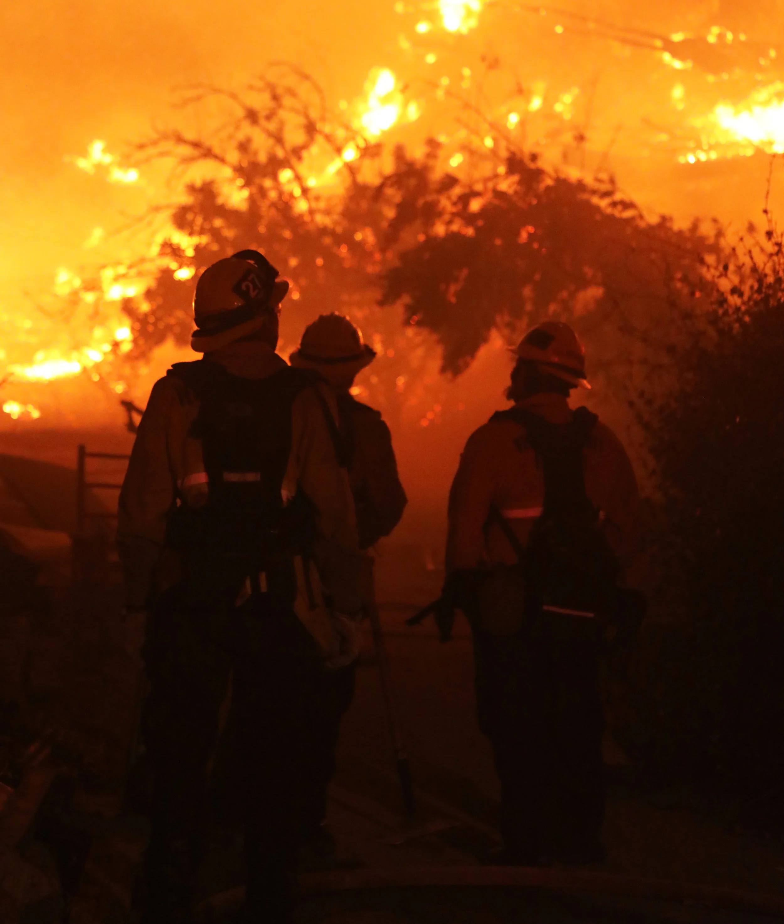 Michael Watkins/ Courier Fire Fighters from the Ventura County Fire Department asses the fire while in the back yard of a home during the Thomas Fire in Santa Paula, Calif. in the early morning hours on tuesday December 5th, 2017. 