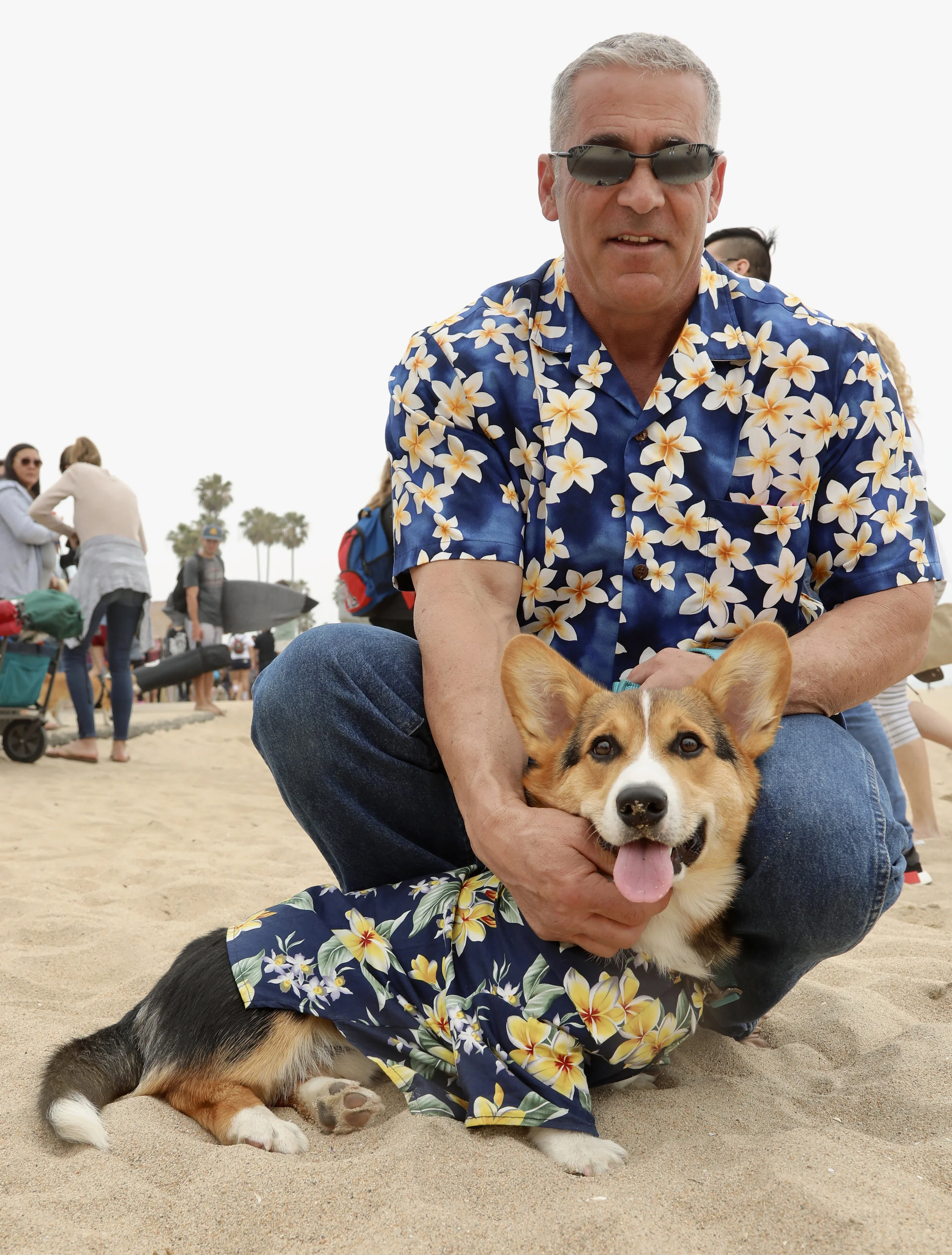 corgi5_watkins_04102018.jpg