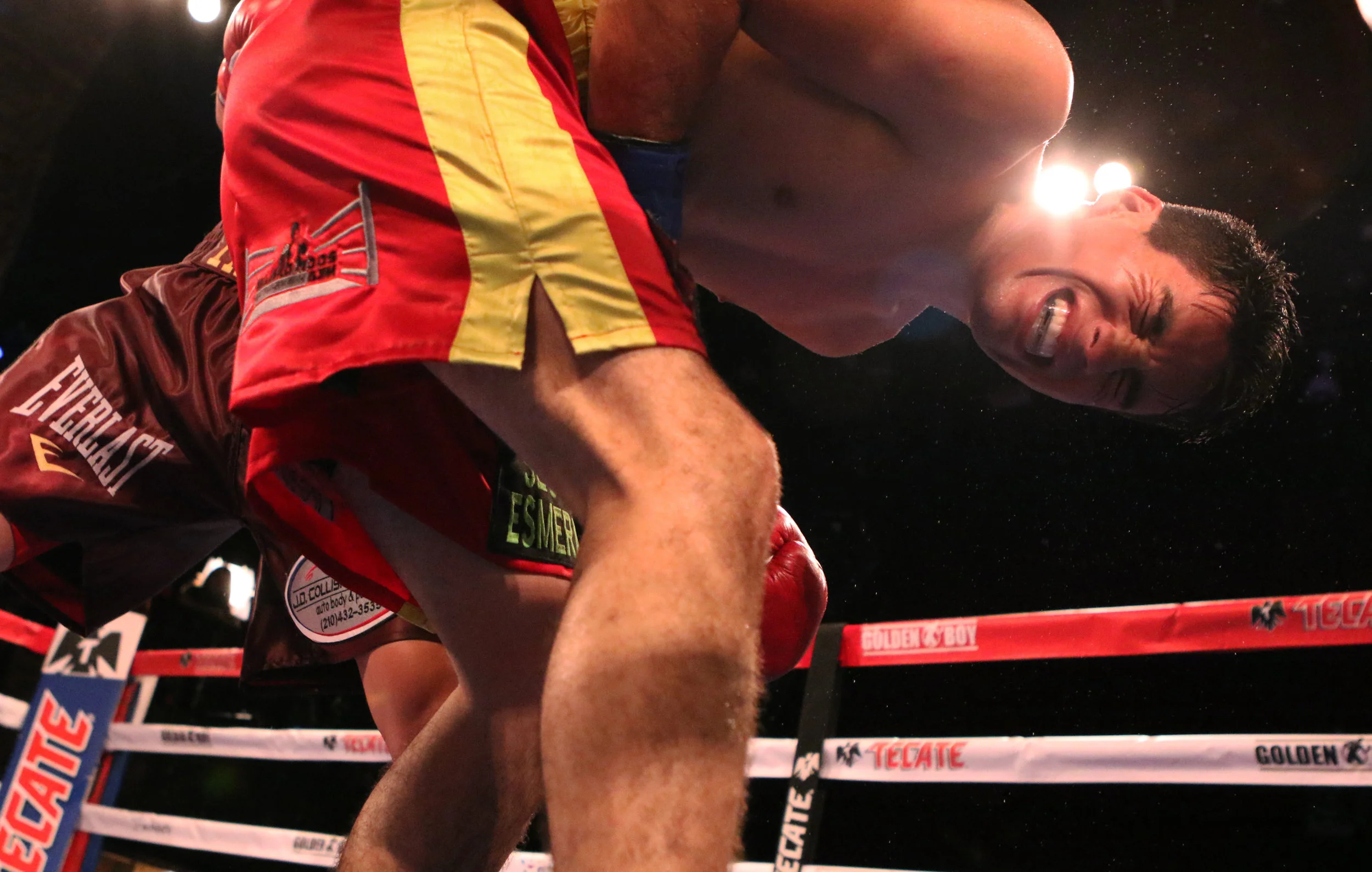 boxing16.jpg