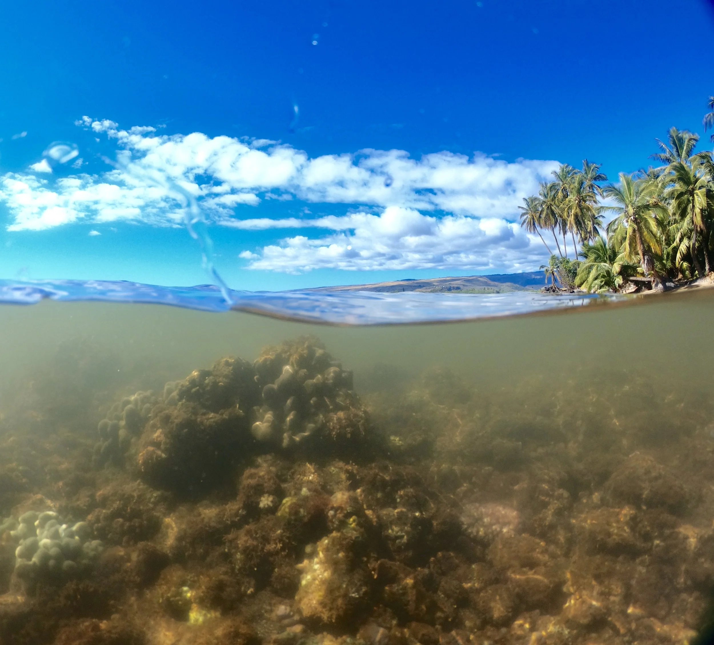 GPTempDownload 2.jpg