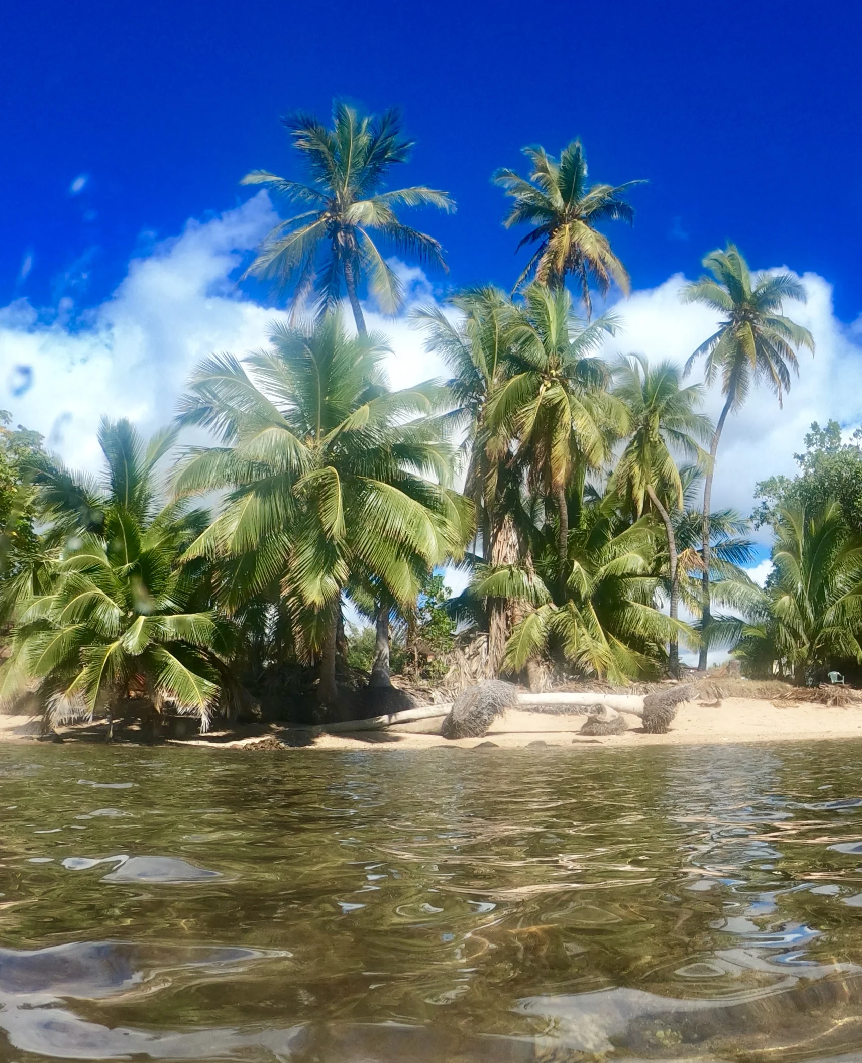 GPTempDownload 3.jpg