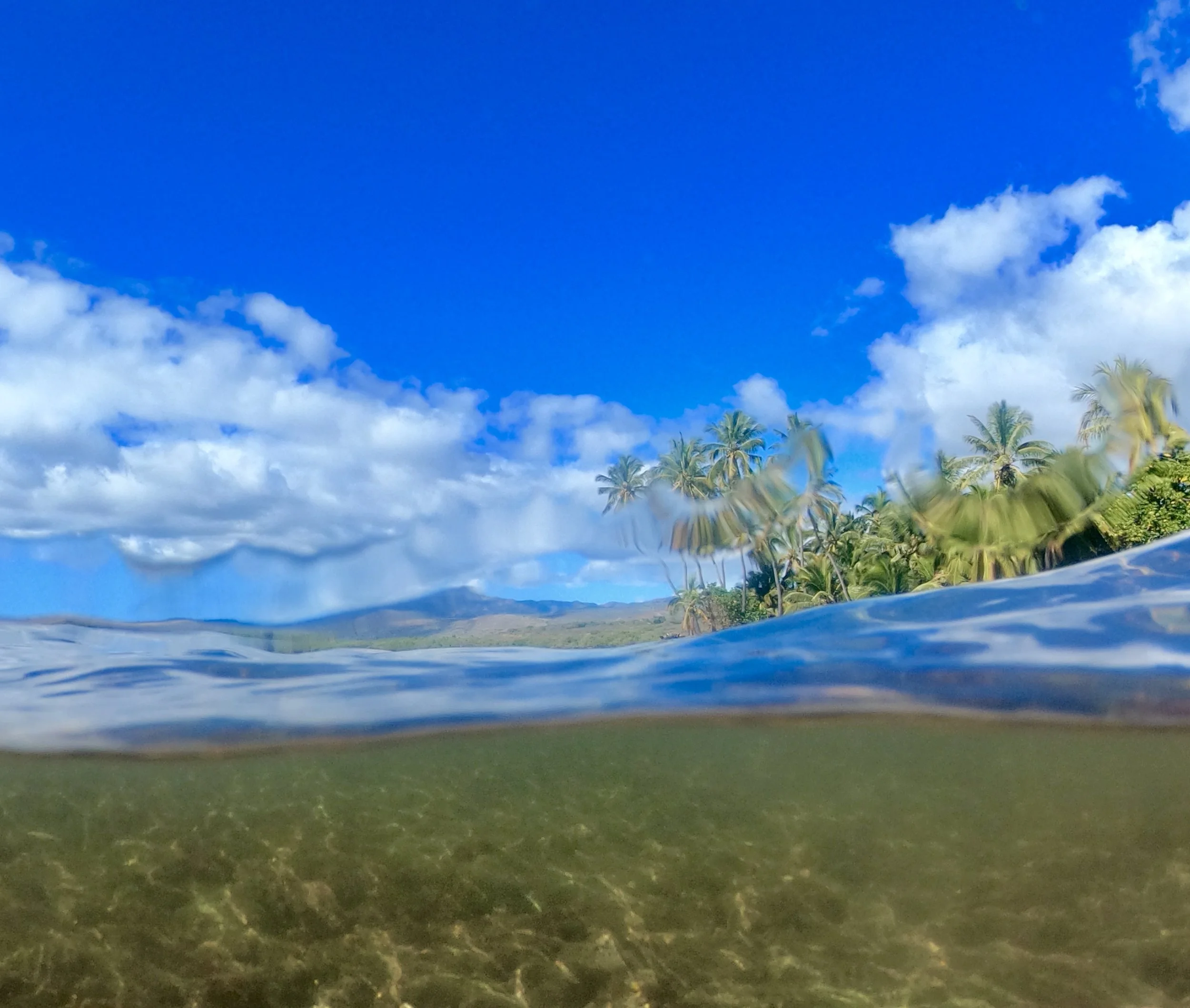 GPTempDownload 4.jpg