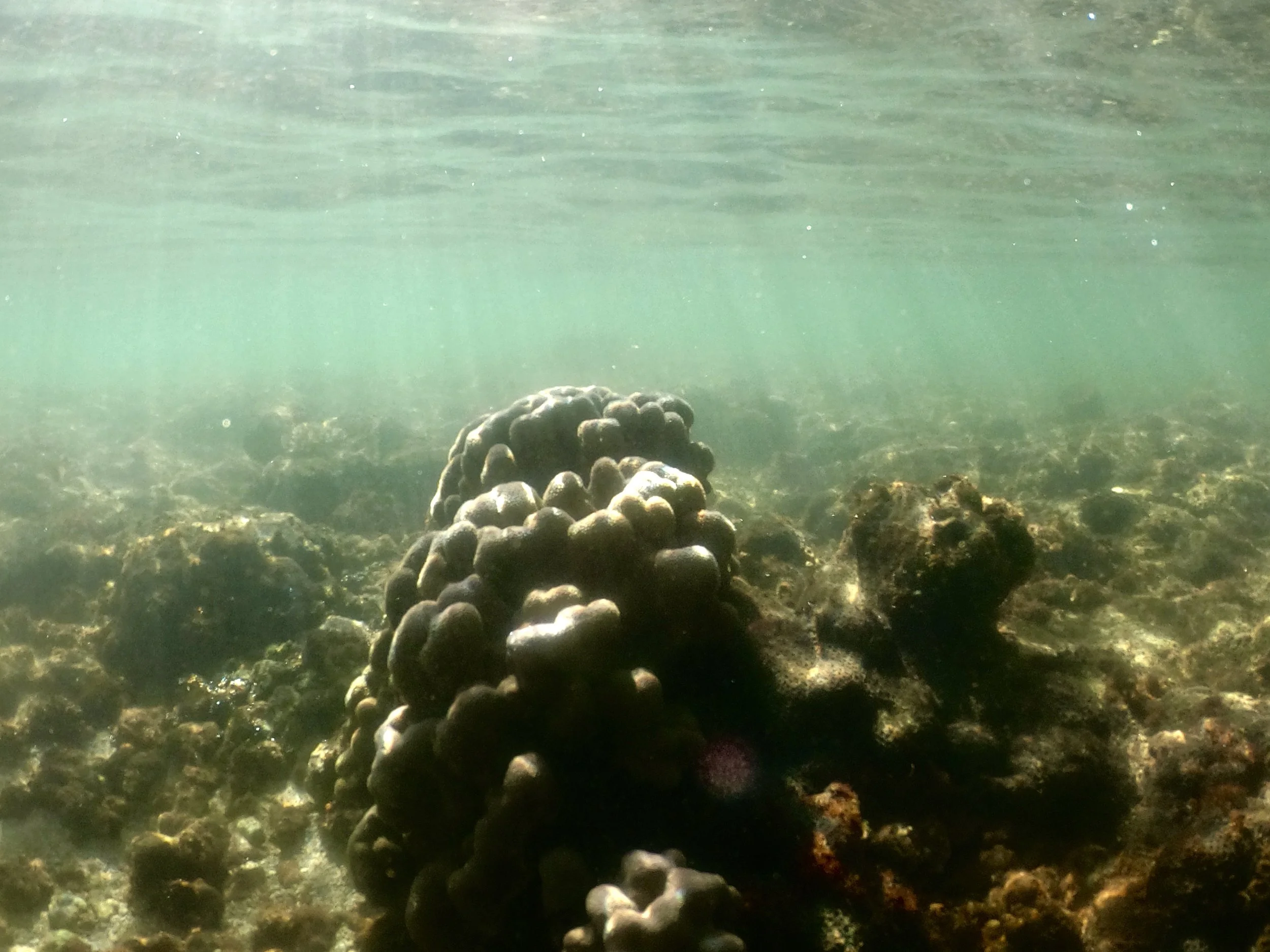 GPTempDownload 5.jpg