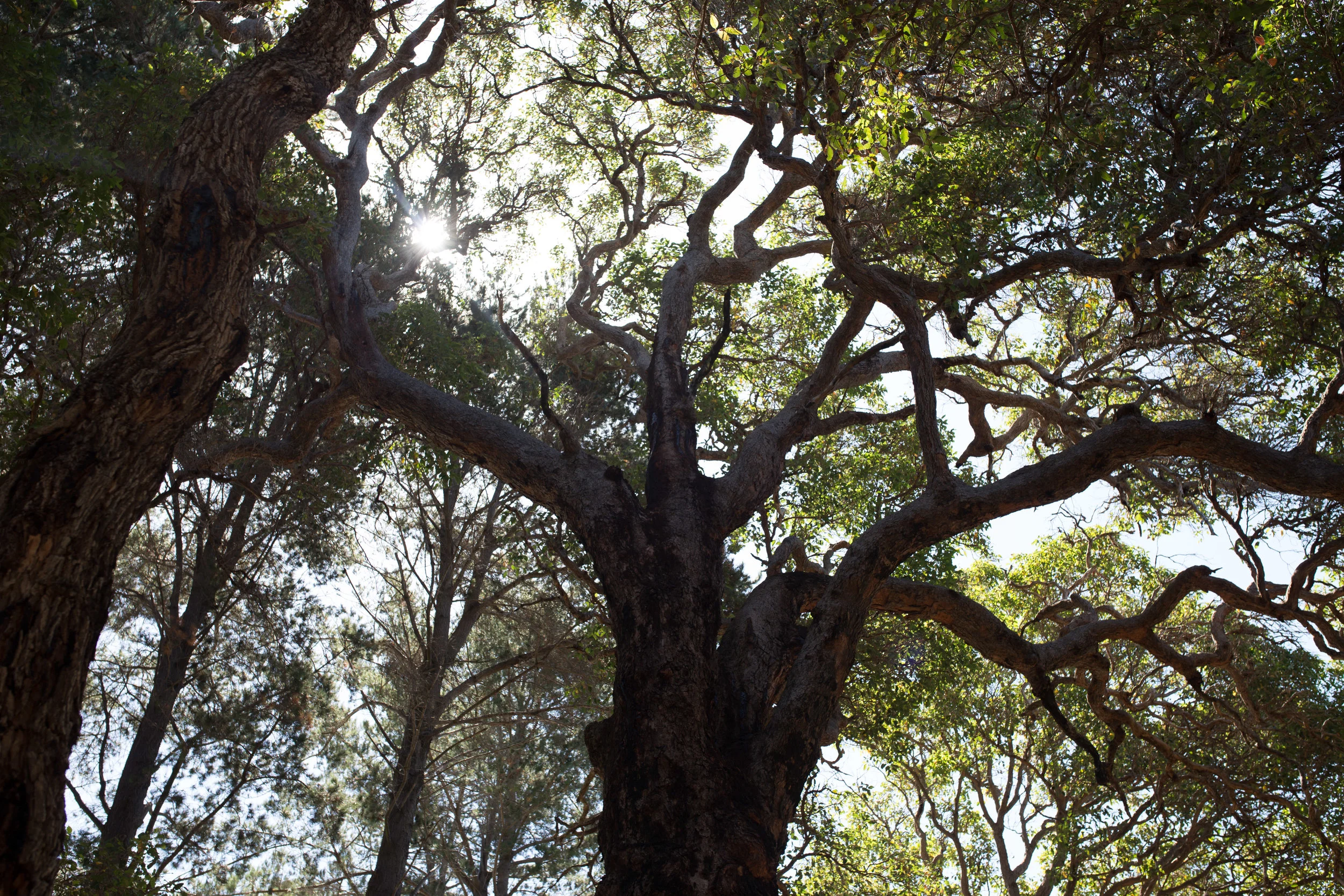 Photo courtesy of Rae Marie Photography