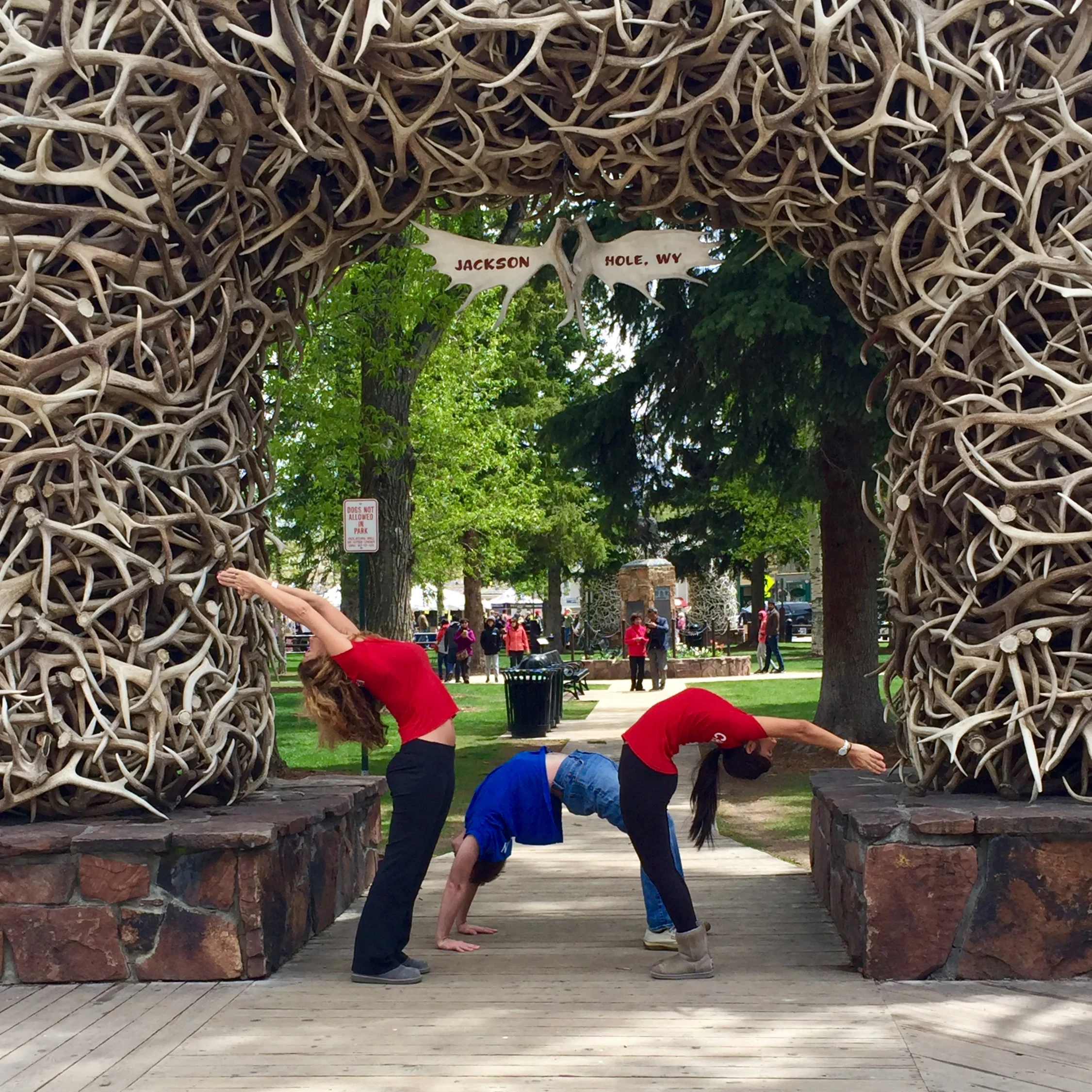 National Yoga Asana Championship 2016