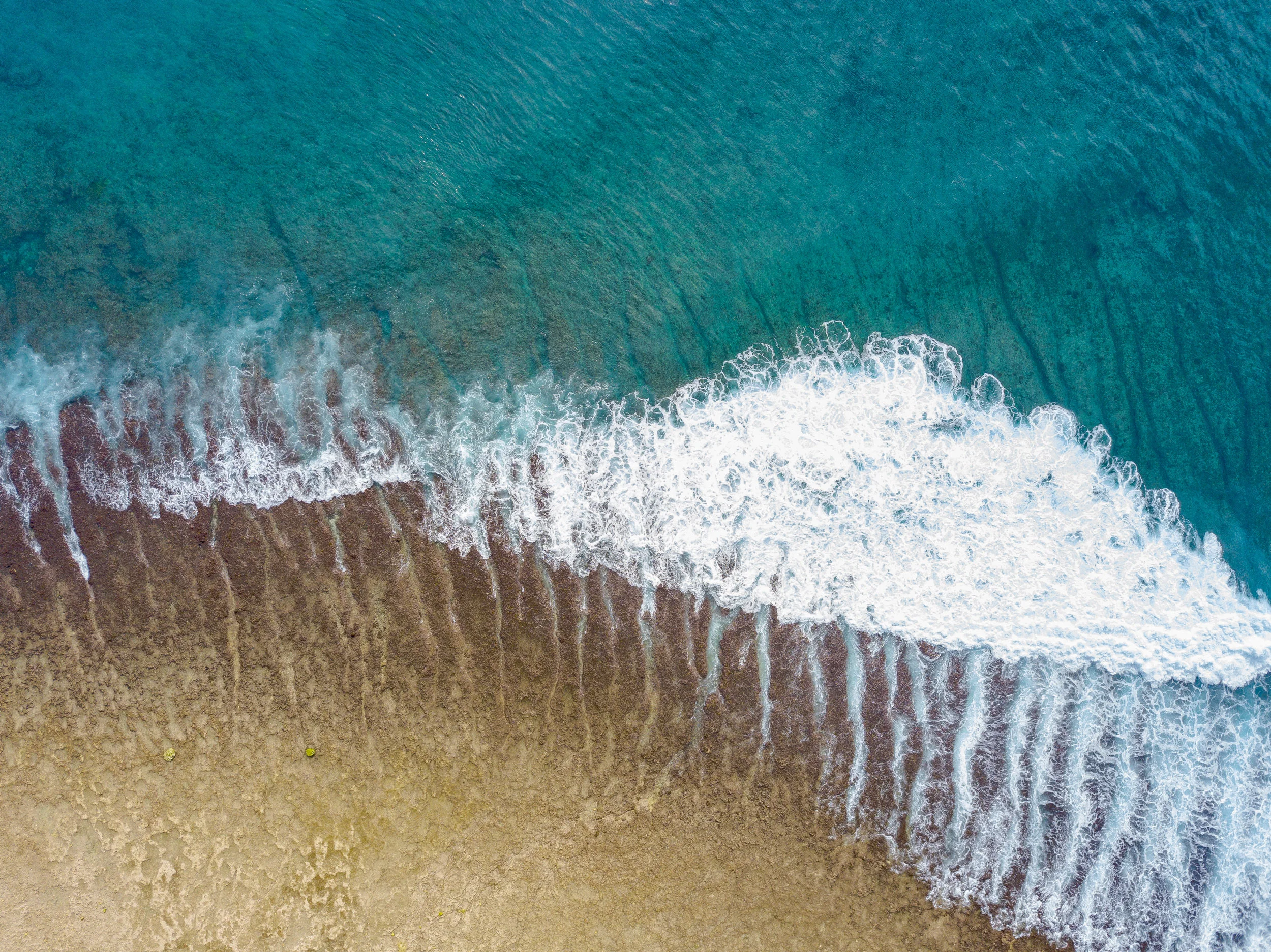 DJI_0058.jpg