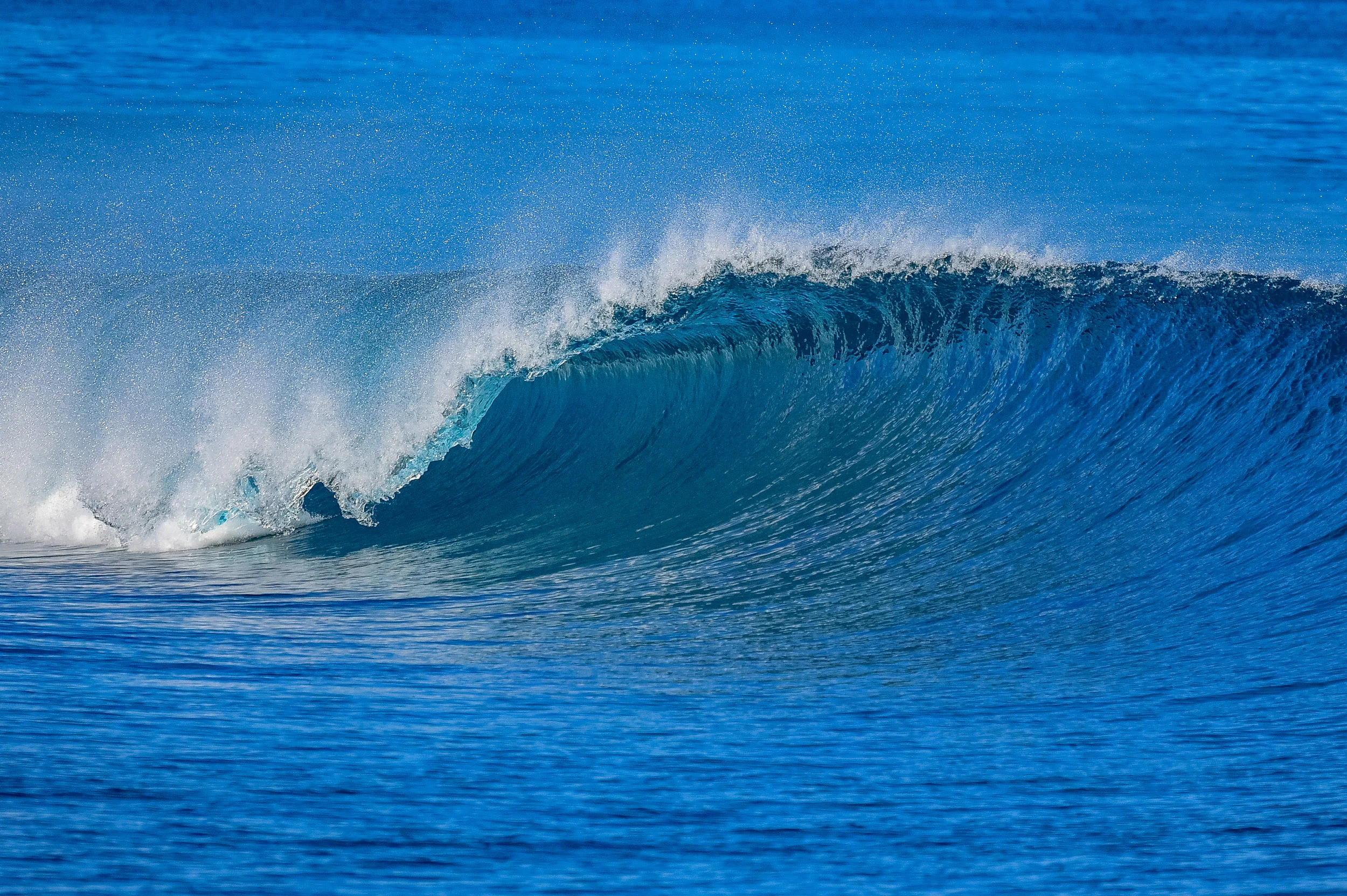 DSC_1238.jpg