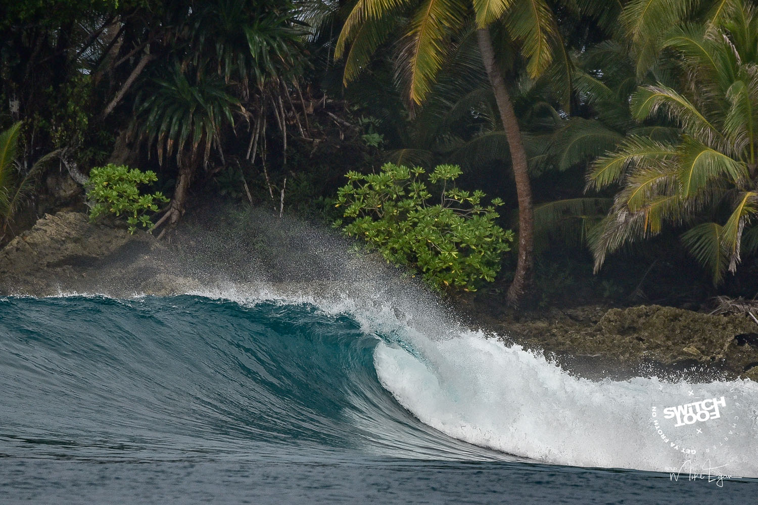DSC_8171.jpg